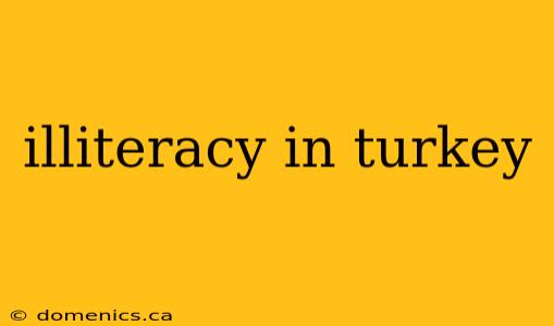 illiteracy in turkey