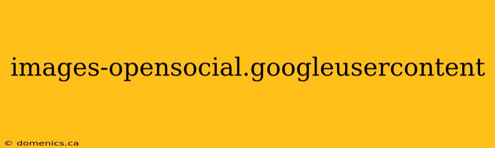 images-opensocial.googleusercontent