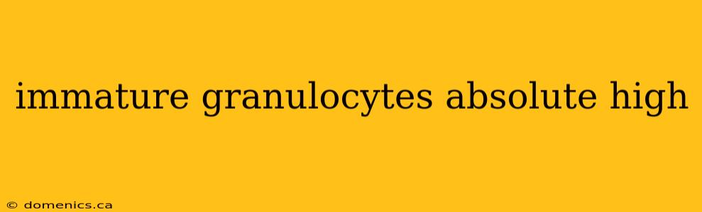 immature granulocytes absolute high