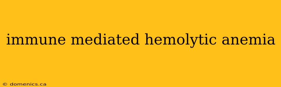 immune mediated hemolytic anemia