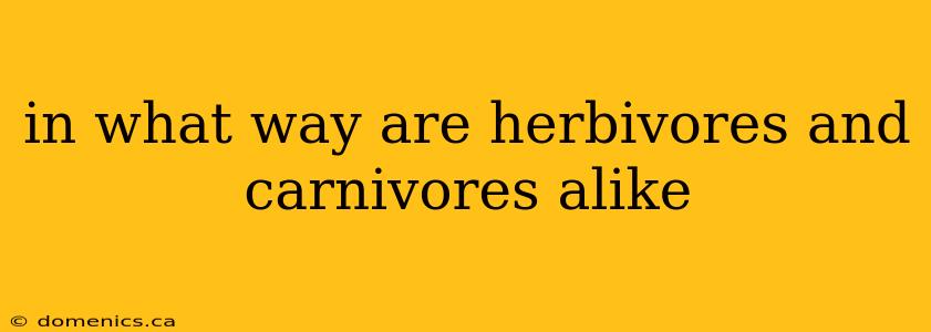 in what way are herbivores and carnivores alike