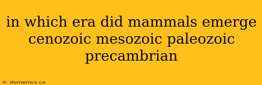 in which era did mammals emerge cenozoic mesozoic paleozoic precambrian