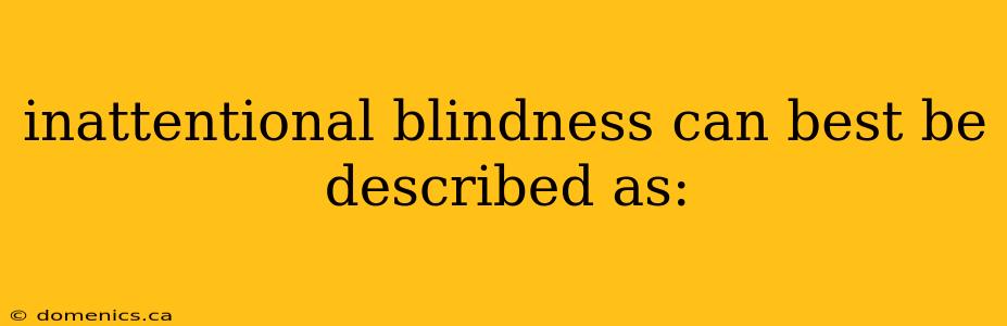 inattentional blindness can best be described as: