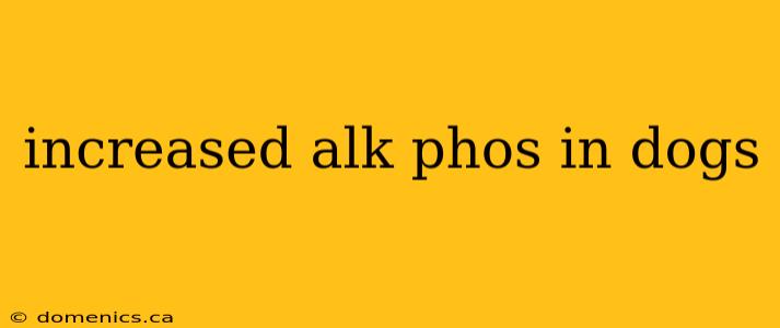 increased alk phos in dogs