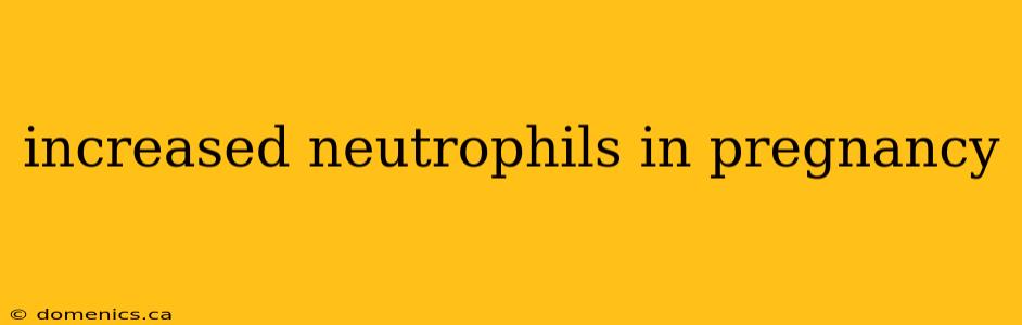 increased neutrophils in pregnancy