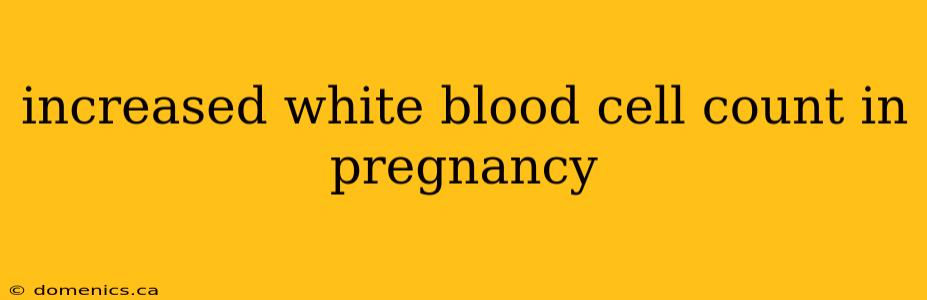 increased white blood cell count in pregnancy