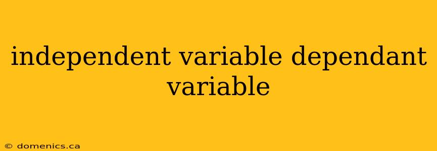 independent variable dependant variable