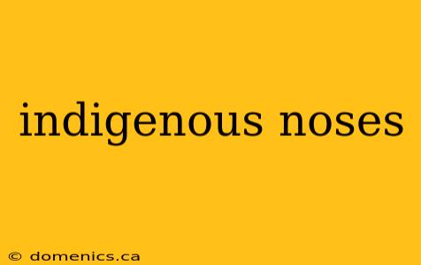 indigenous noses