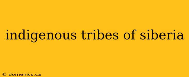 indigenous tribes of siberia