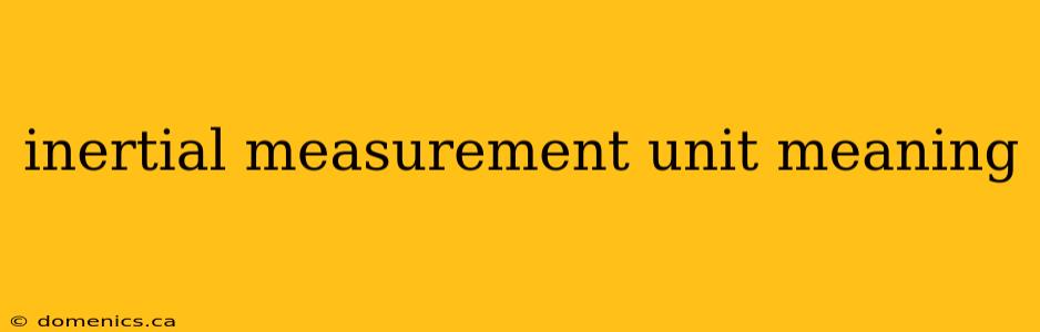 inertial measurement unit meaning