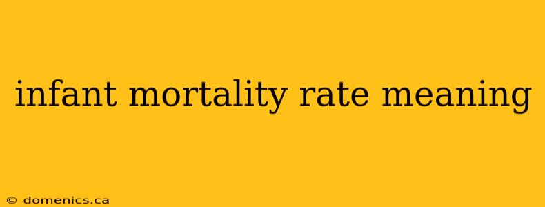 infant mortality rate meaning