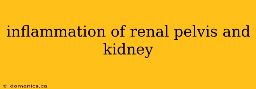 inflammation of renal pelvis and kidney