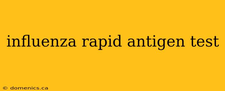 influenza rapid antigen test