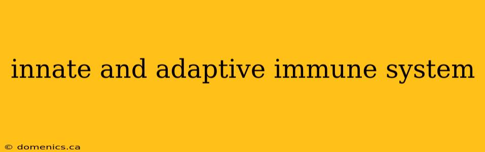 innate and adaptive immune system