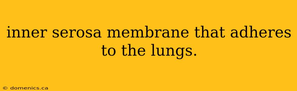 inner serosa membrane that adheres to the lungs.