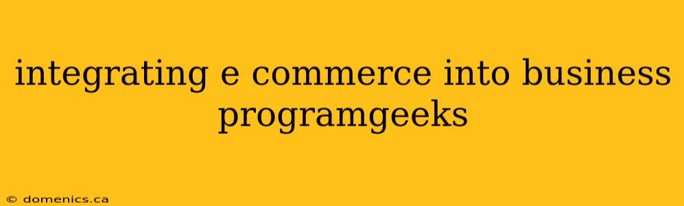 integrating e commerce into business programgeeks