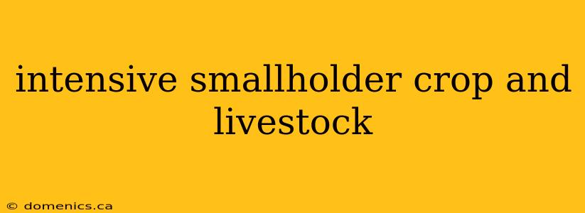 intensive smallholder crop and livestock