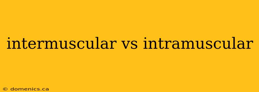 intermuscular vs intramuscular