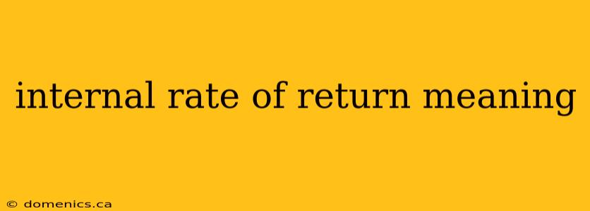 internal rate of return meaning