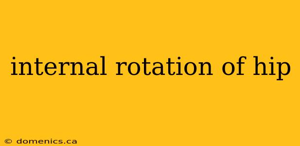 internal rotation of hip