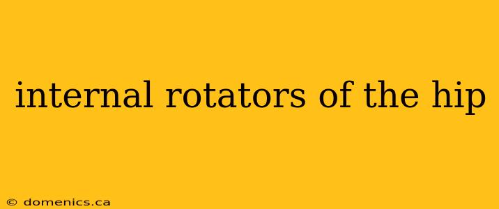 internal rotators of the hip