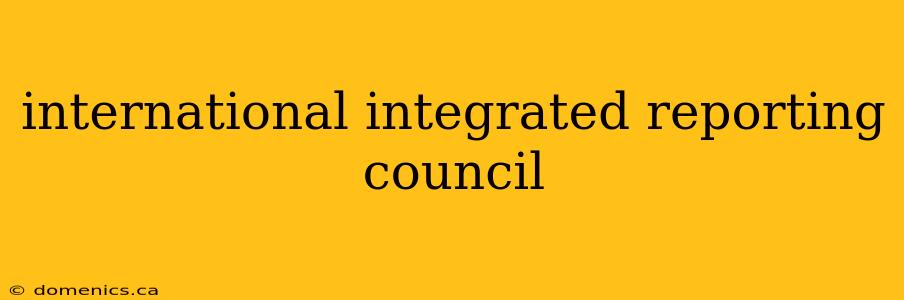 international integrated reporting council