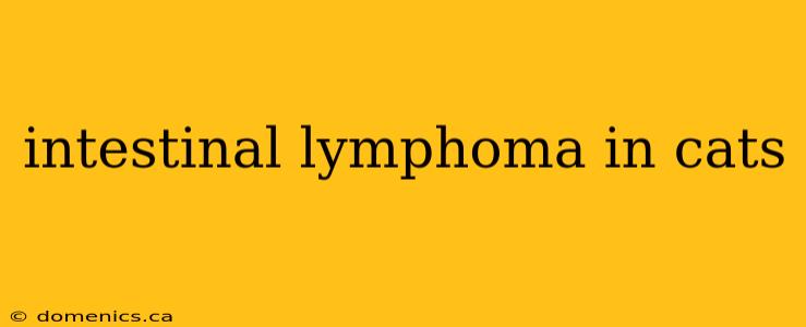 intestinal lymphoma in cats