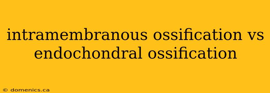 intramembranous ossification vs endochondral ossification