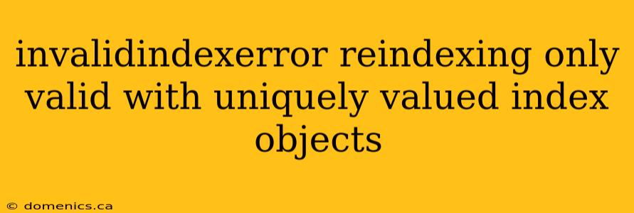 invalidindexerror reindexing only valid with uniquely valued index objects