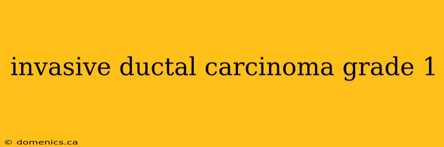 invasive ductal carcinoma grade 1