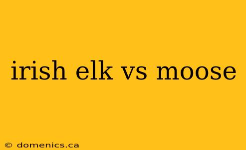 irish elk vs moose