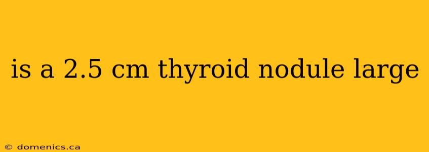 is a 2.5 cm thyroid nodule large