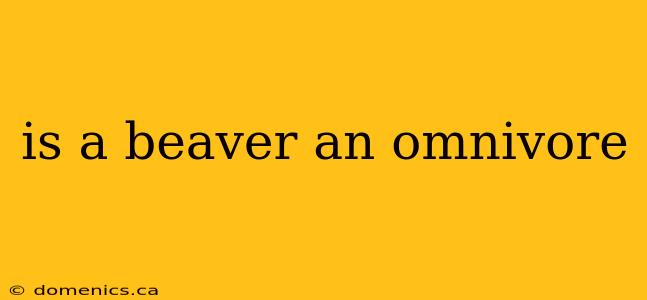 is a beaver an omnivore