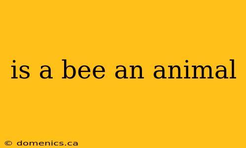 is a bee an animal