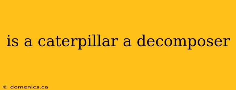 is a caterpillar a decomposer