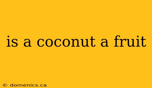 is a coconut a fruit