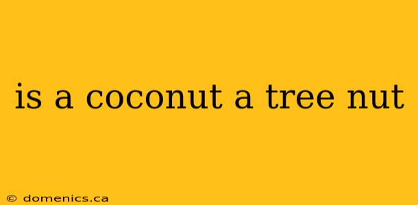 is a coconut a tree nut