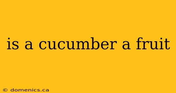 is a cucumber a fruit