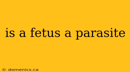 is a fetus a parasite