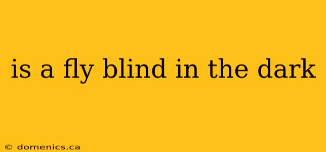 is a fly blind in the dark