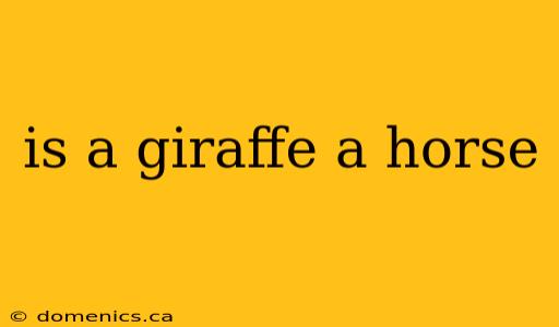 is a giraffe a horse