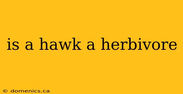 is a hawk a herbivore