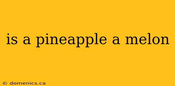 is a pineapple a melon