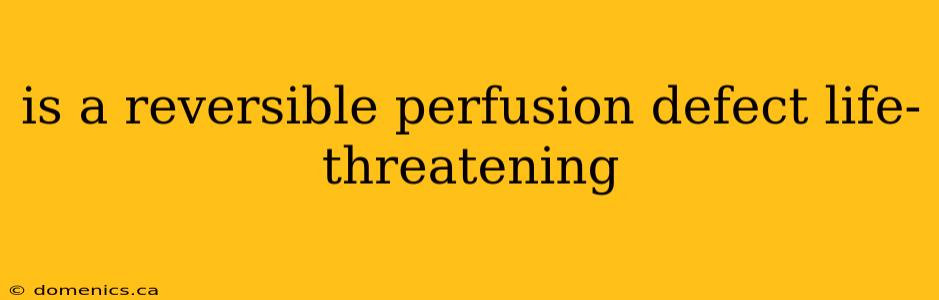 is a reversible perfusion defect life-threatening