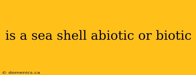 is a sea shell abiotic or biotic