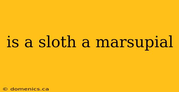 is a sloth a marsupial