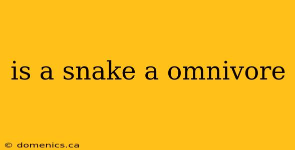 is a snake a omnivore