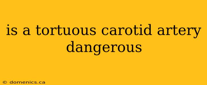 is a tortuous carotid artery dangerous