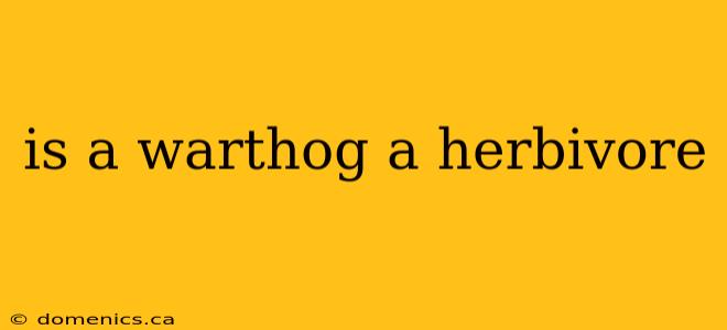 is a warthog a herbivore