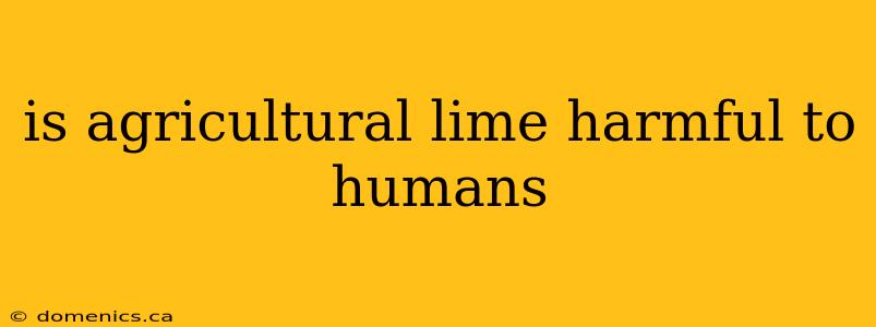 is agricultural lime harmful to humans